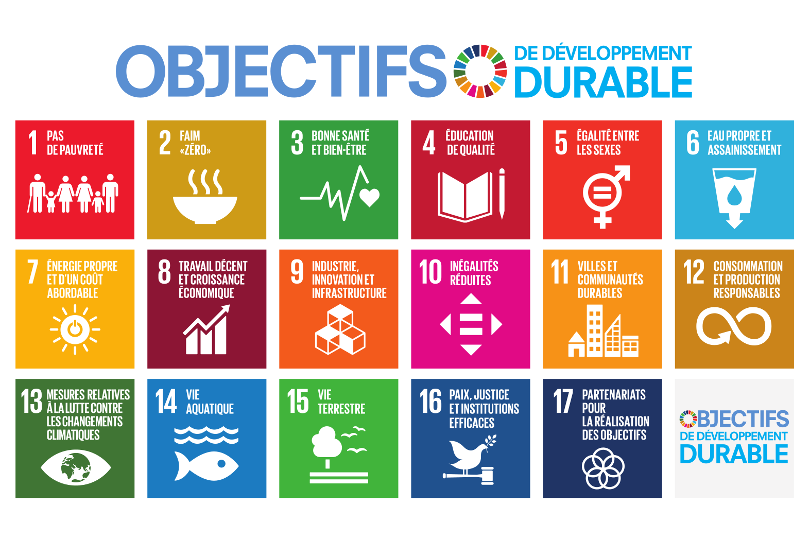 Comment les Objectifs de développement durable peuvent-ils alimenter la démarche RSE ?